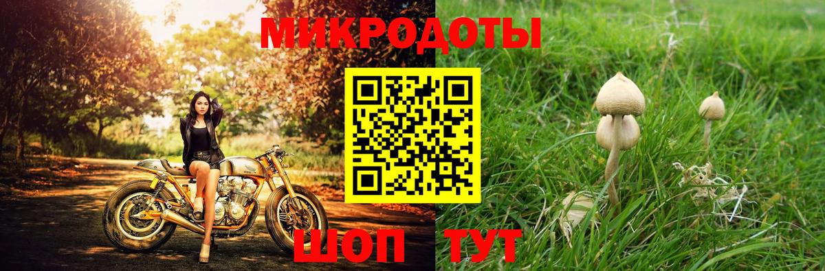 Коркино  где купить   Вход с VPN  Галлюциногенные грибы мицелий  Галлюциногенные грибы Cubensis 